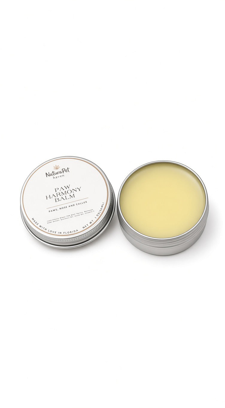 Happy dog with healthy, moisturized paws protected by NaturaPet Haven Paw Harmony Balm